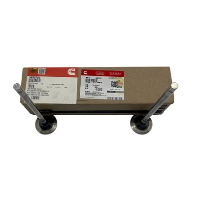 Cummins motorventilkernecylinderventilsamlingssæt 5693781